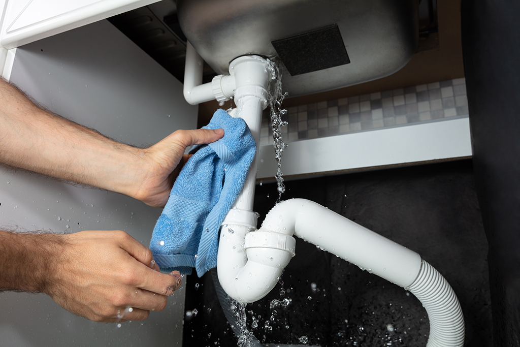What is the best way to find a reliable plumber in Glenorchy?